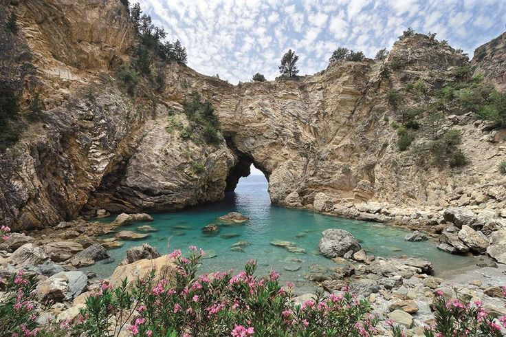 Haartransplantation Gazipaşa 2026: Aktuelle Preise, Anwendungstechniken und die Wahl der richtigen Klinik