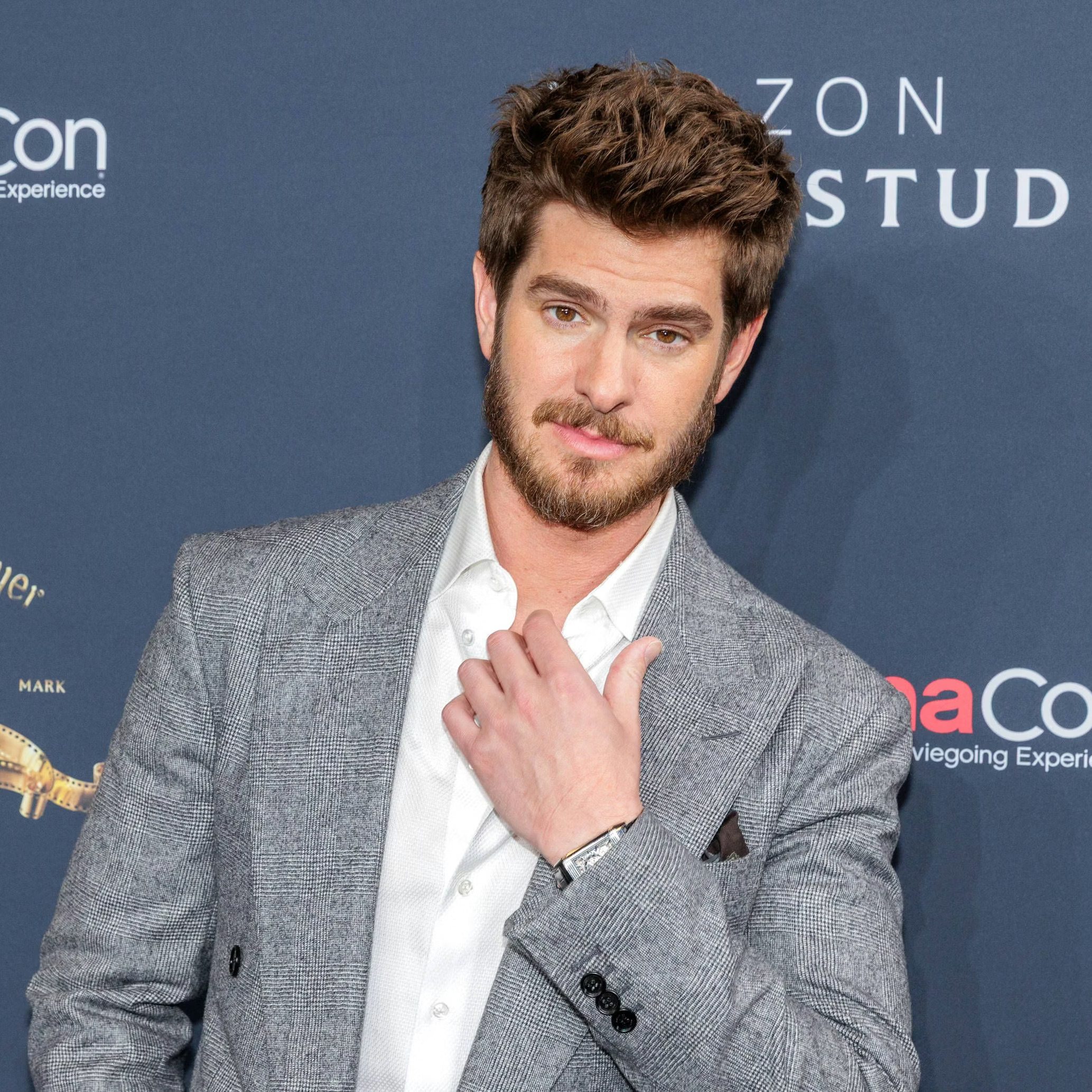 Andrew Garfield Hair Transplant