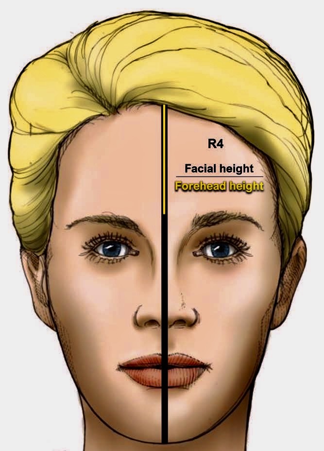 What Is the Average Forehead Size? Ideal Measurements for Men and Women